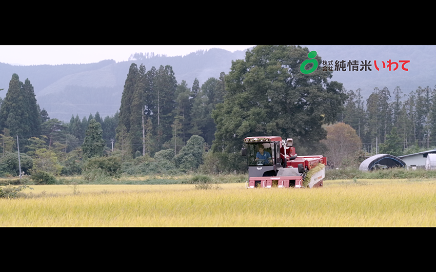 純情米いわて「銀河のしずく尾花色」篇　コンバインで稲を刈るお父さんのカット